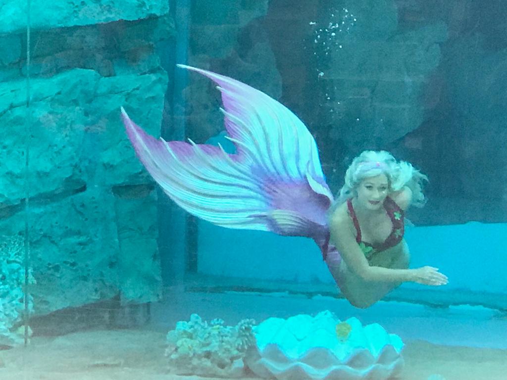 Hire Mermaids for party