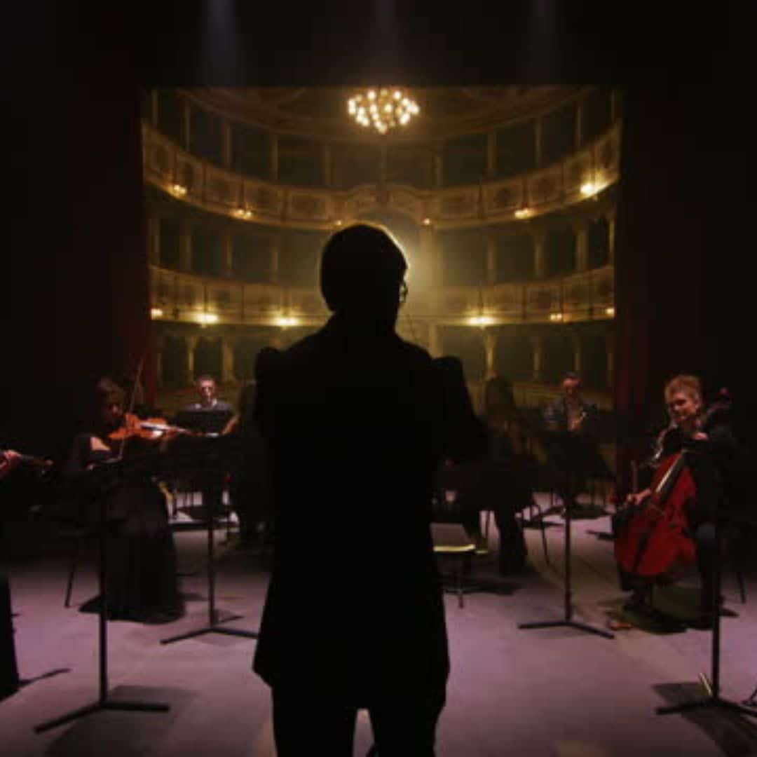 Musicians, photo 12