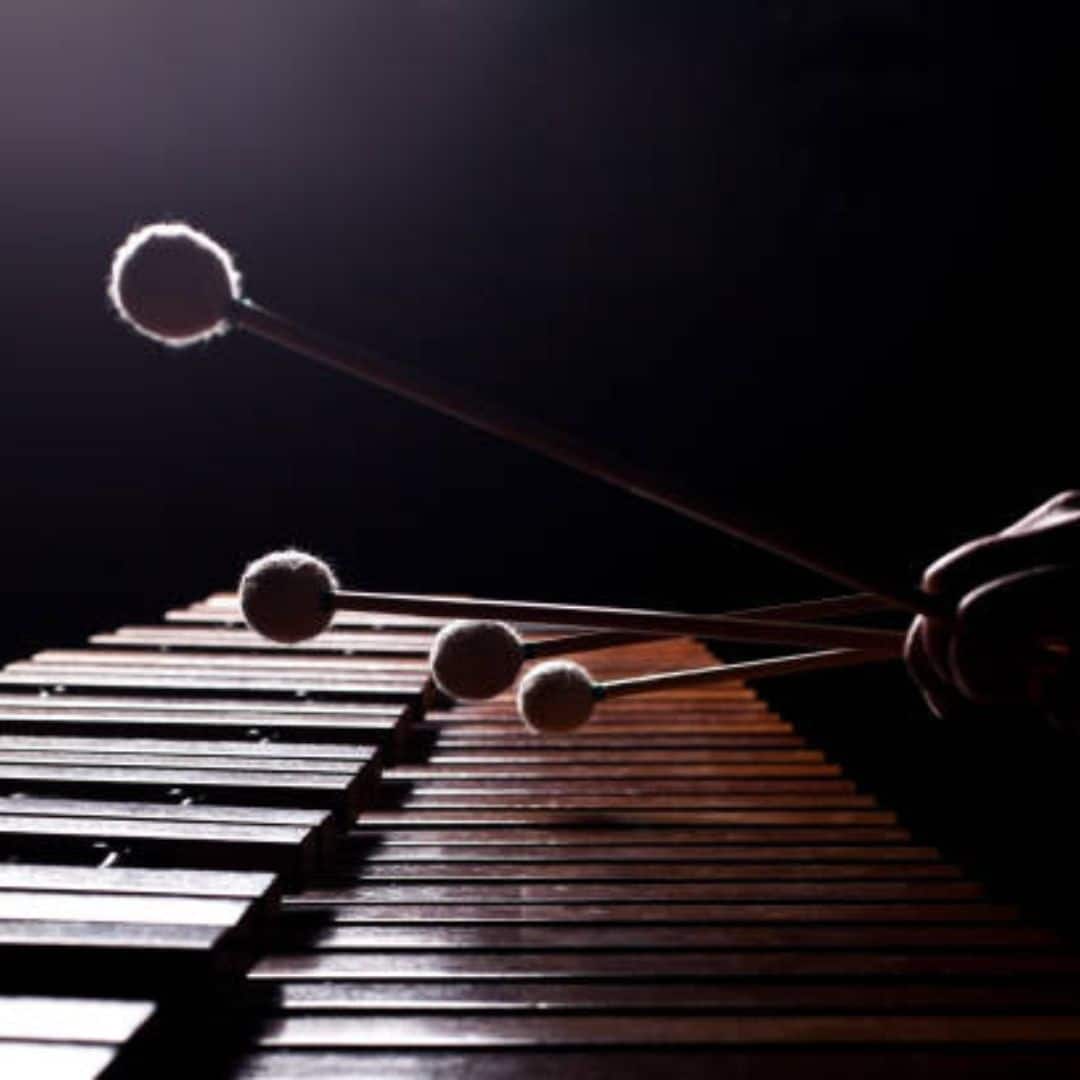 Xylophone players