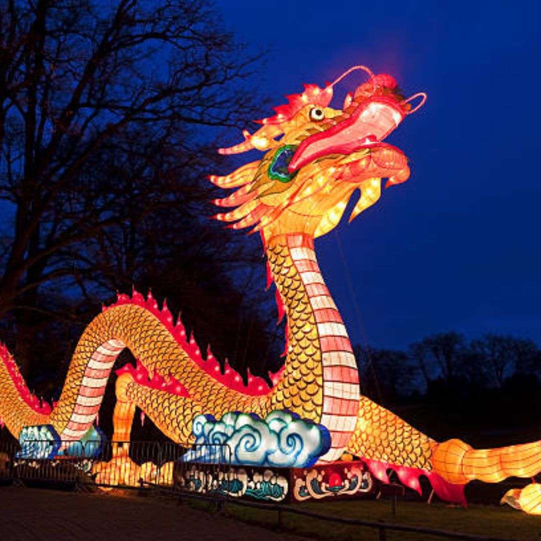 Hire LED Dragon in Dubai and Abu Dhabi!