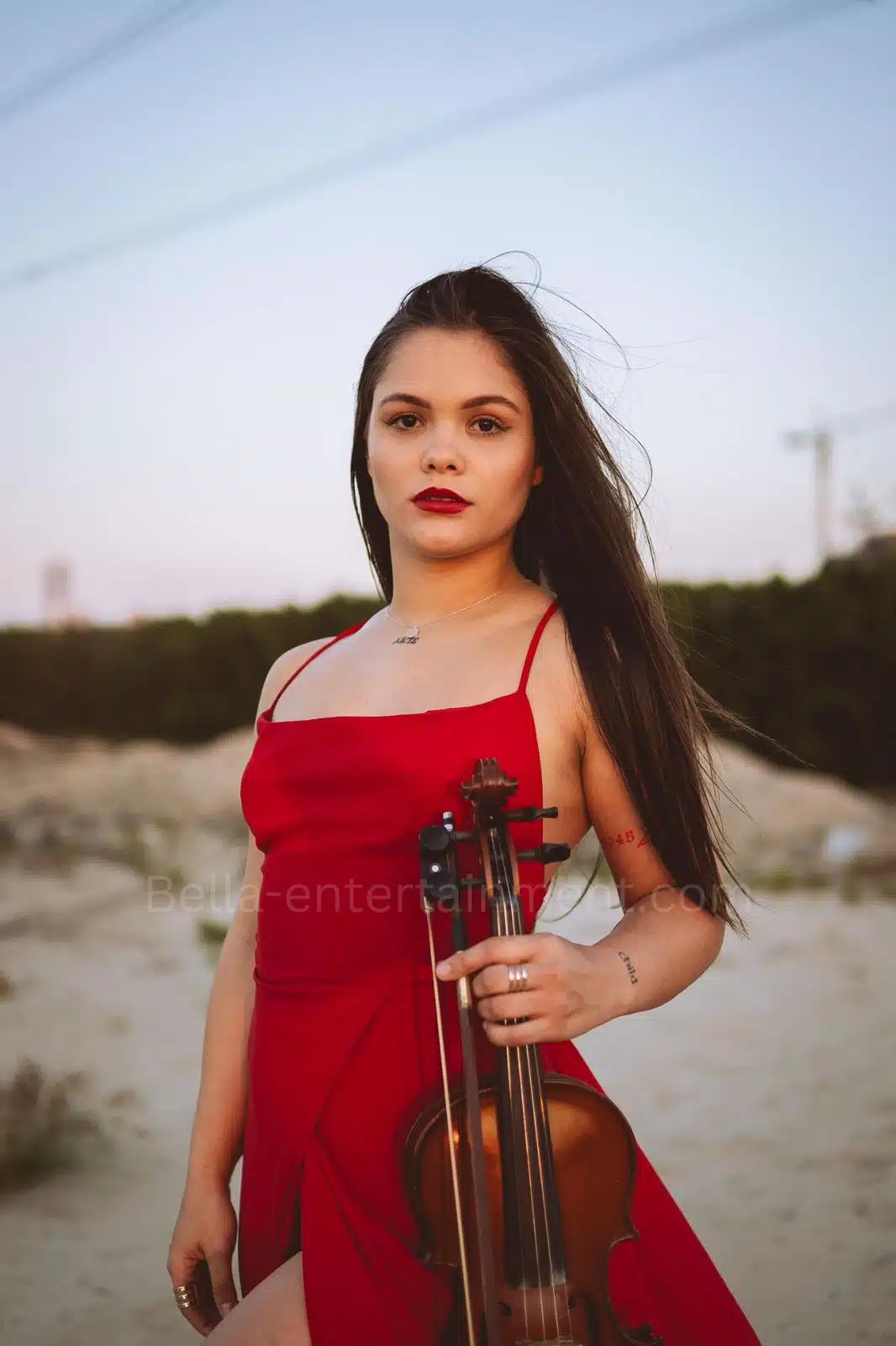 Violinists