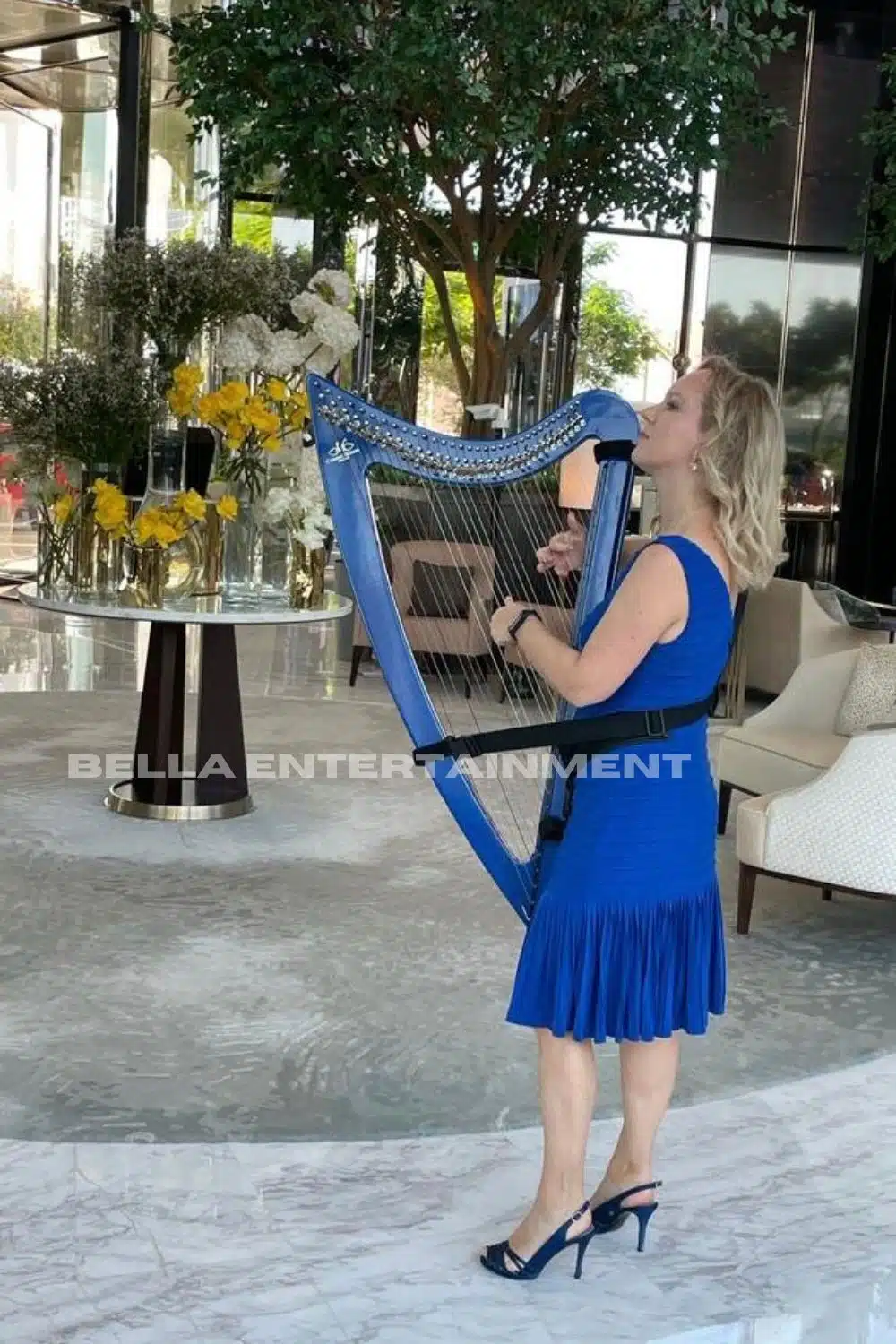 Harpist