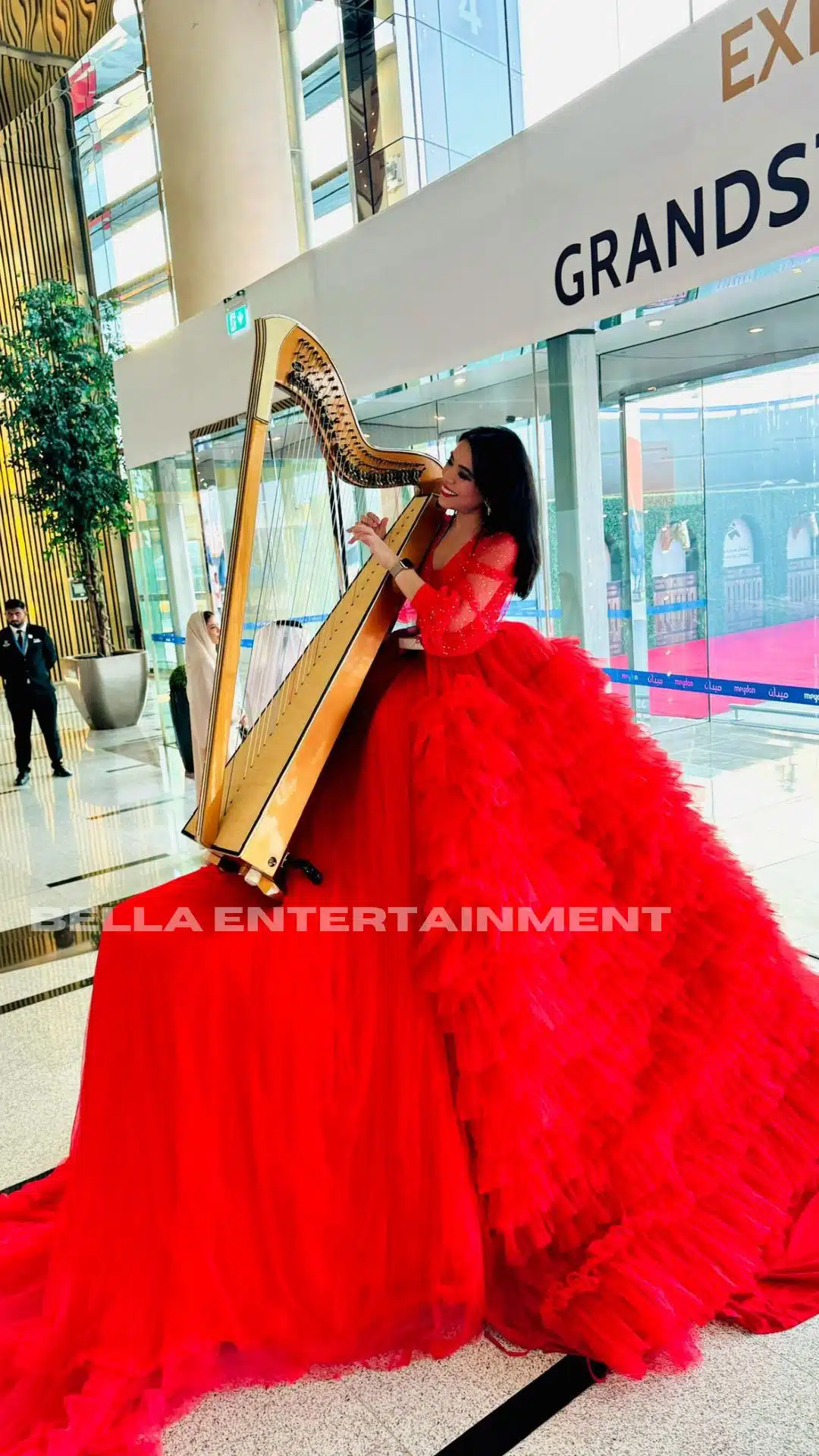 Harpist