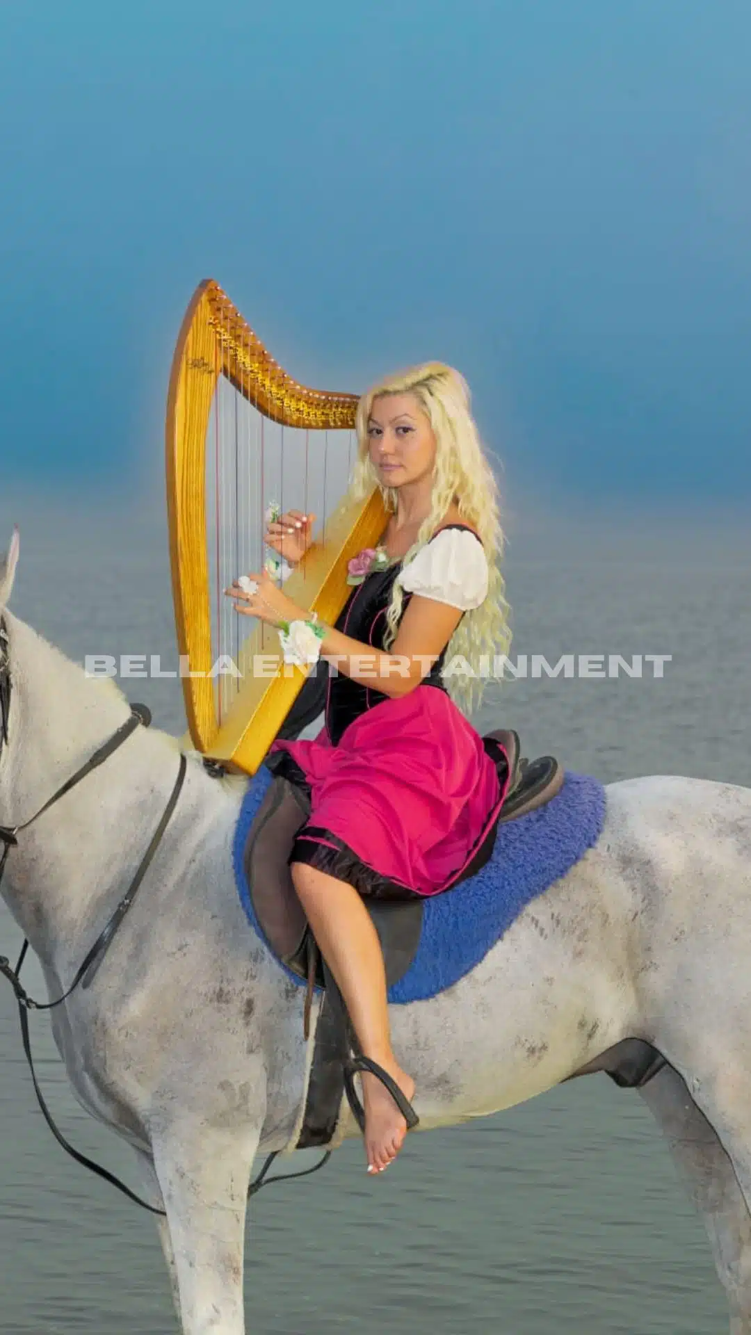 Harpist