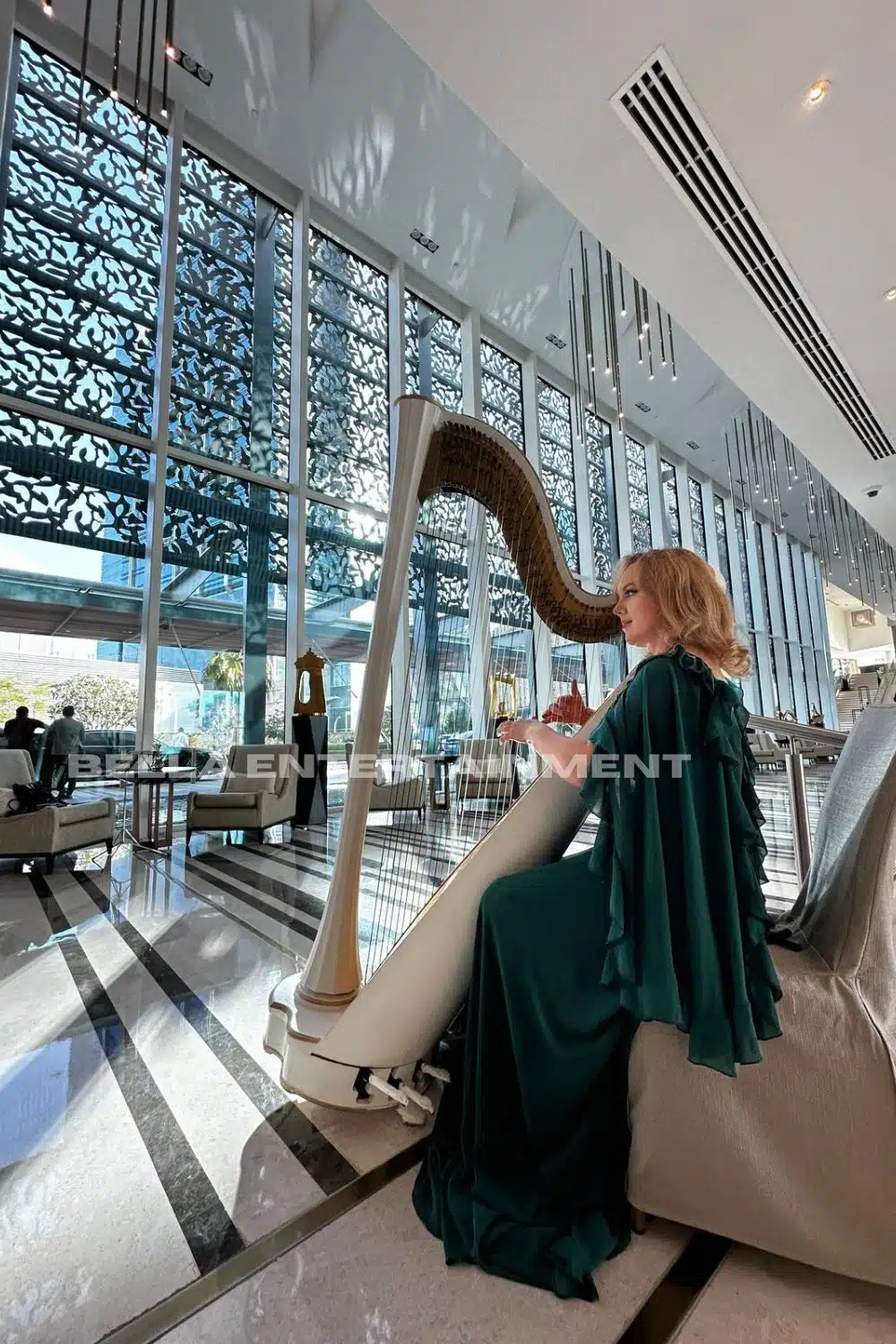 Harpist
