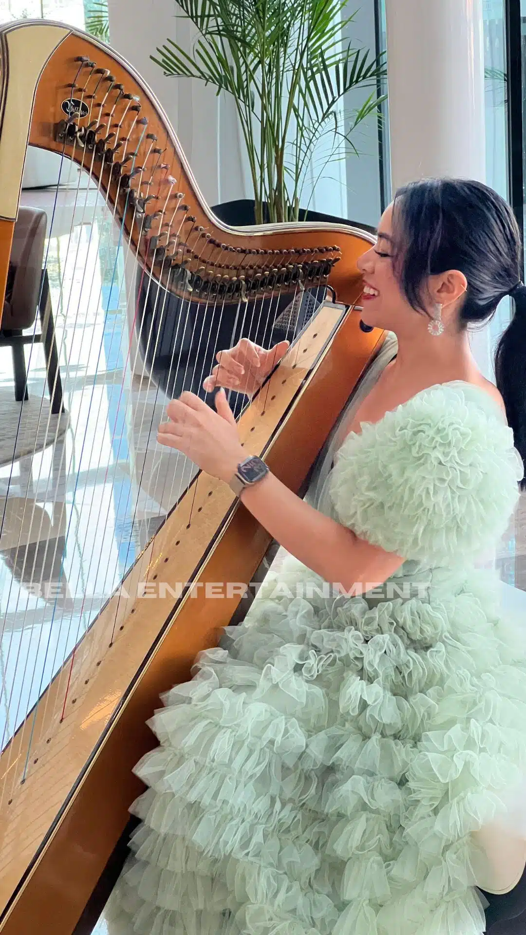 Harpist
