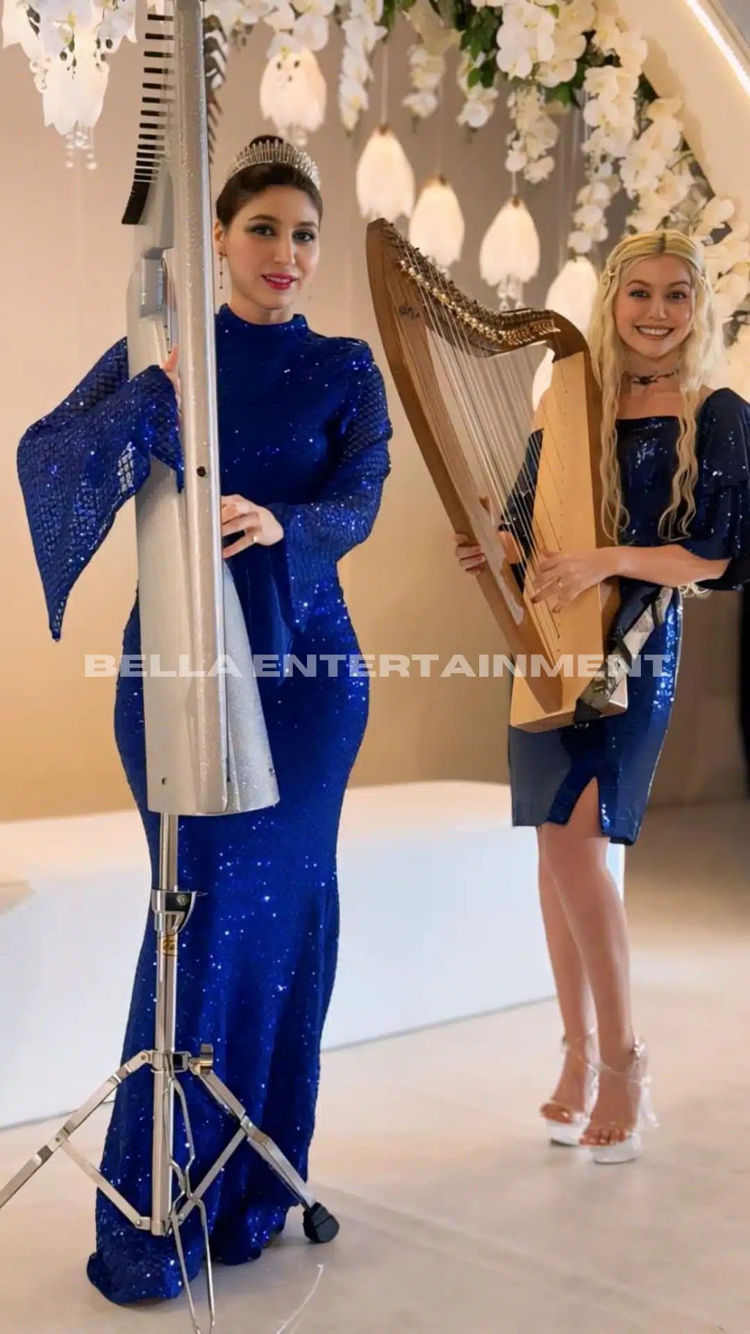 Harpist