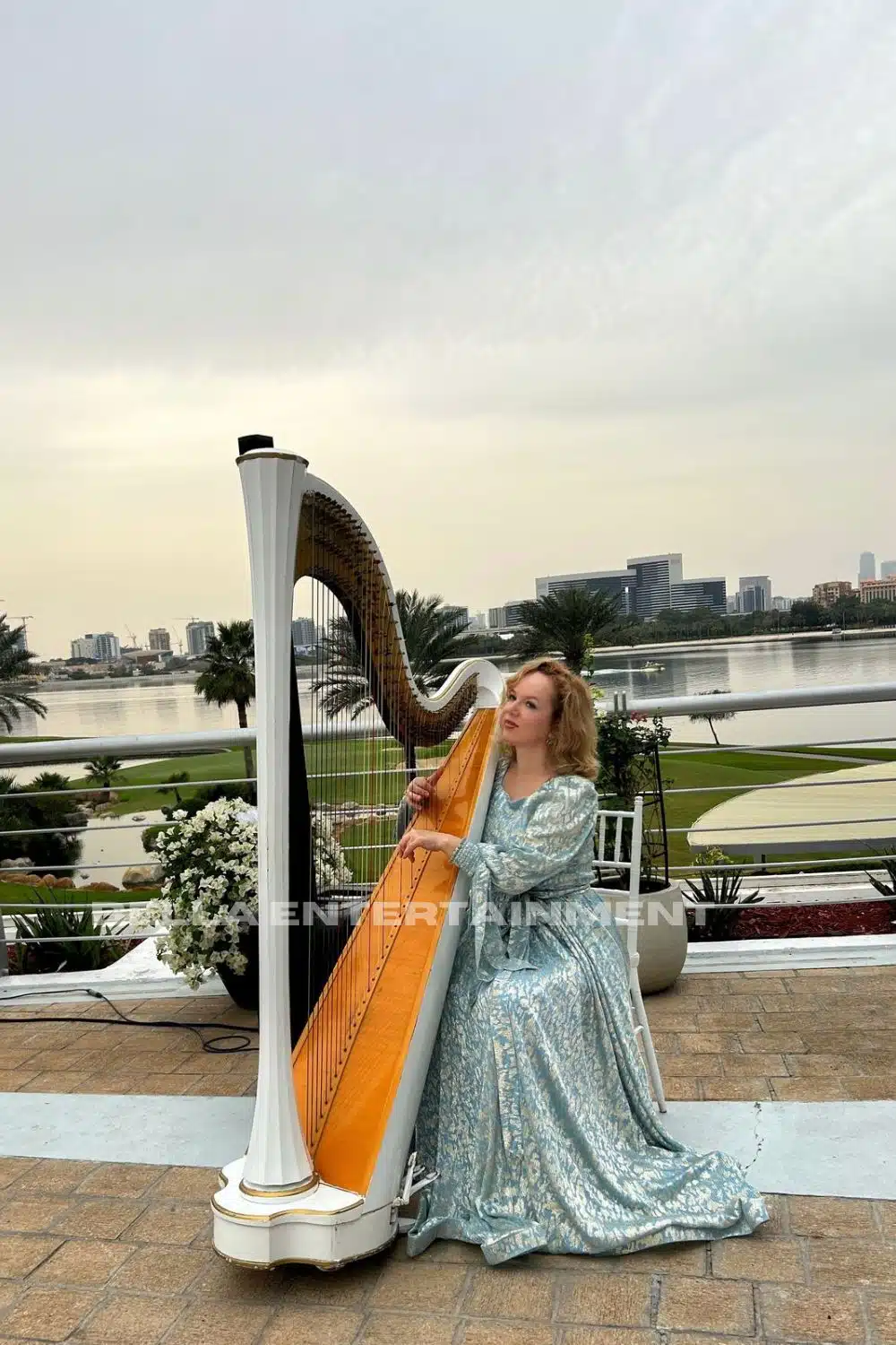 Harpist
