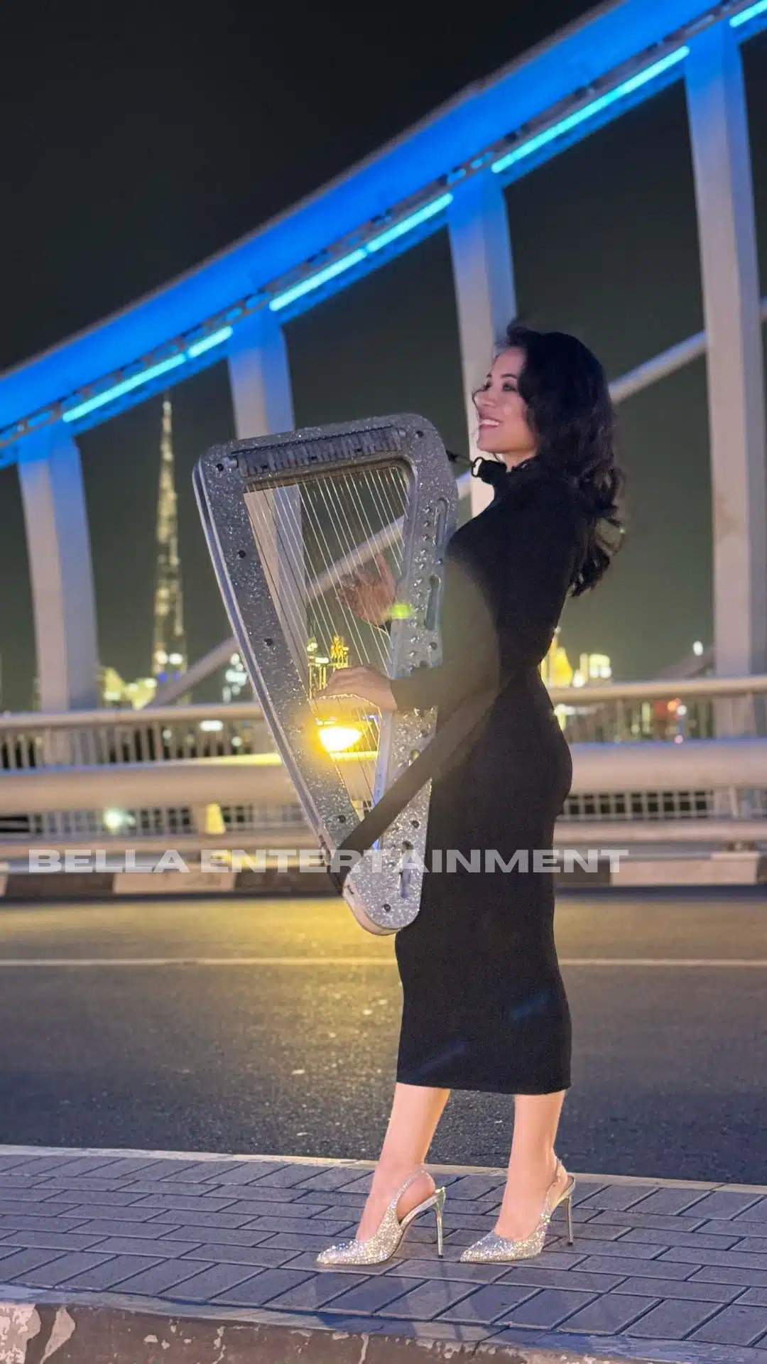 Harpist