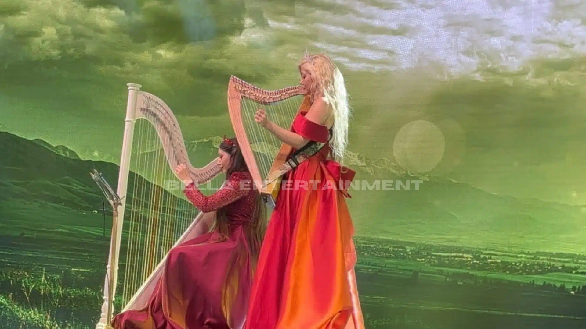 Harpist