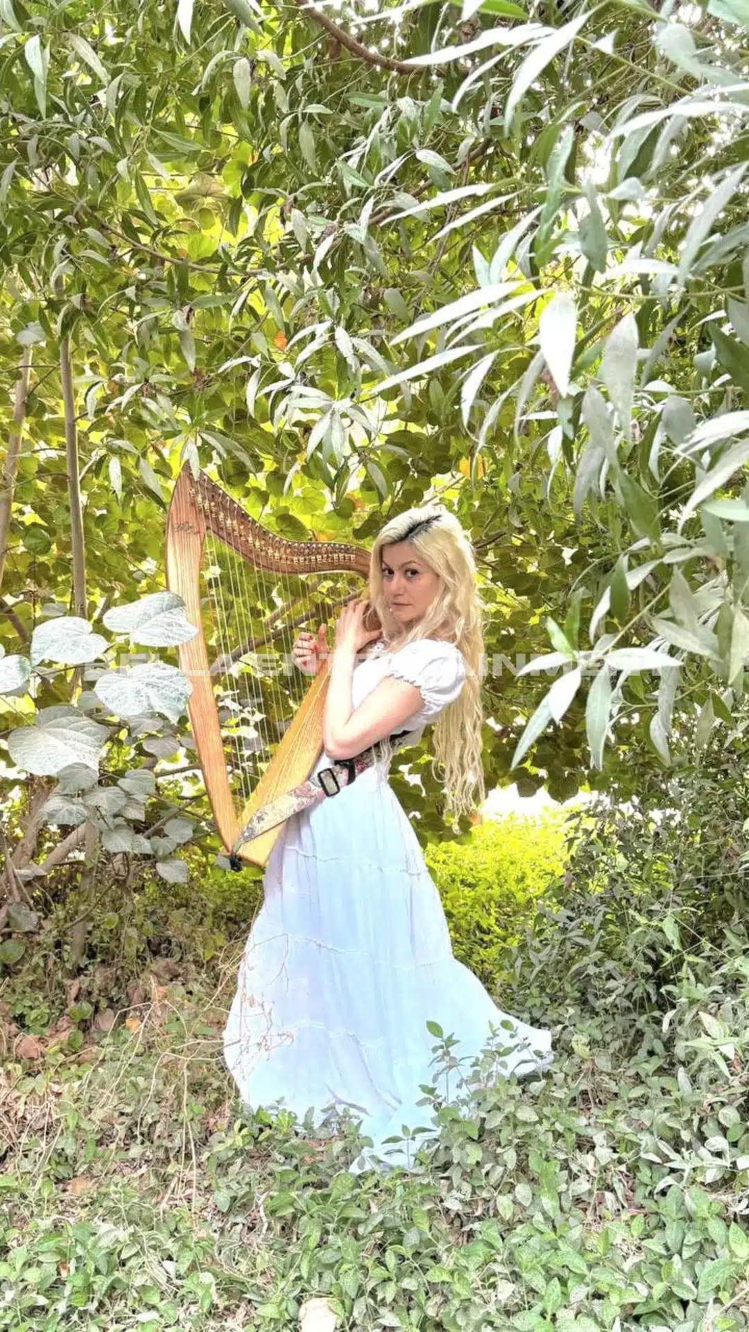 Harpist