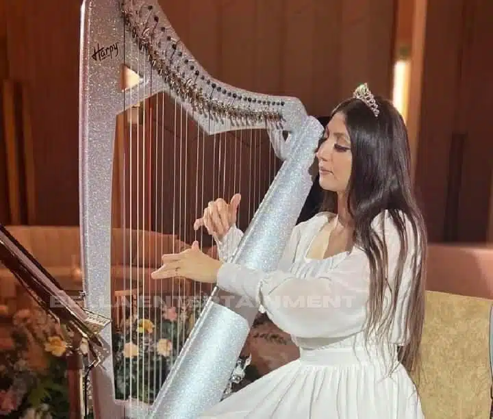 Harpist